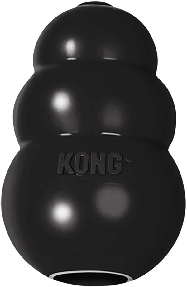 kong dog toy